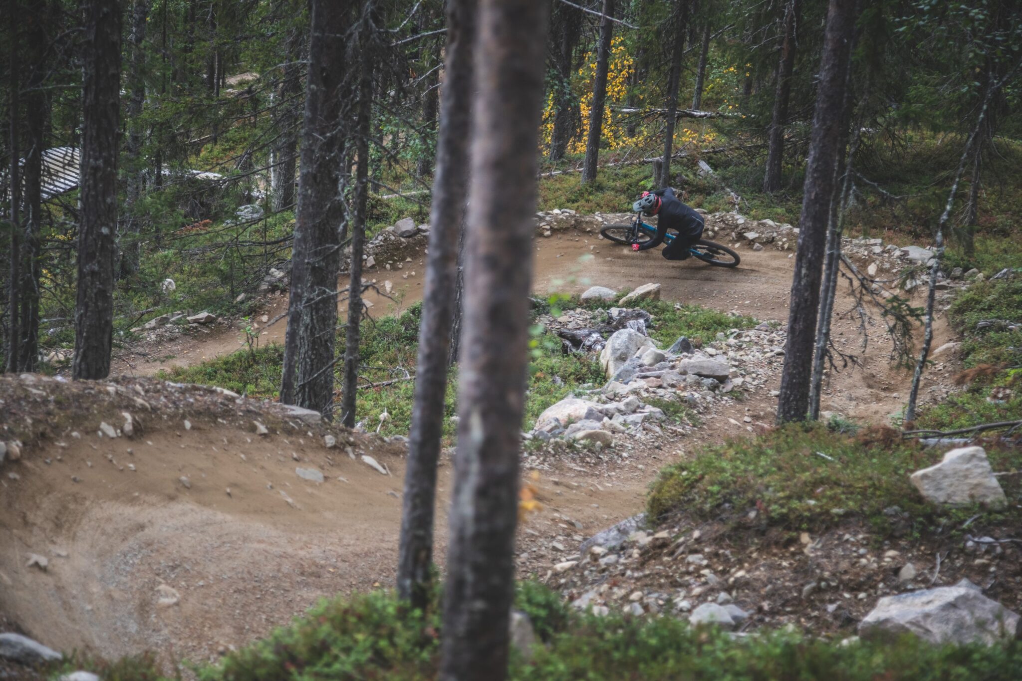 Trai Building Hello ALLEGRA | The philosophy of trail building