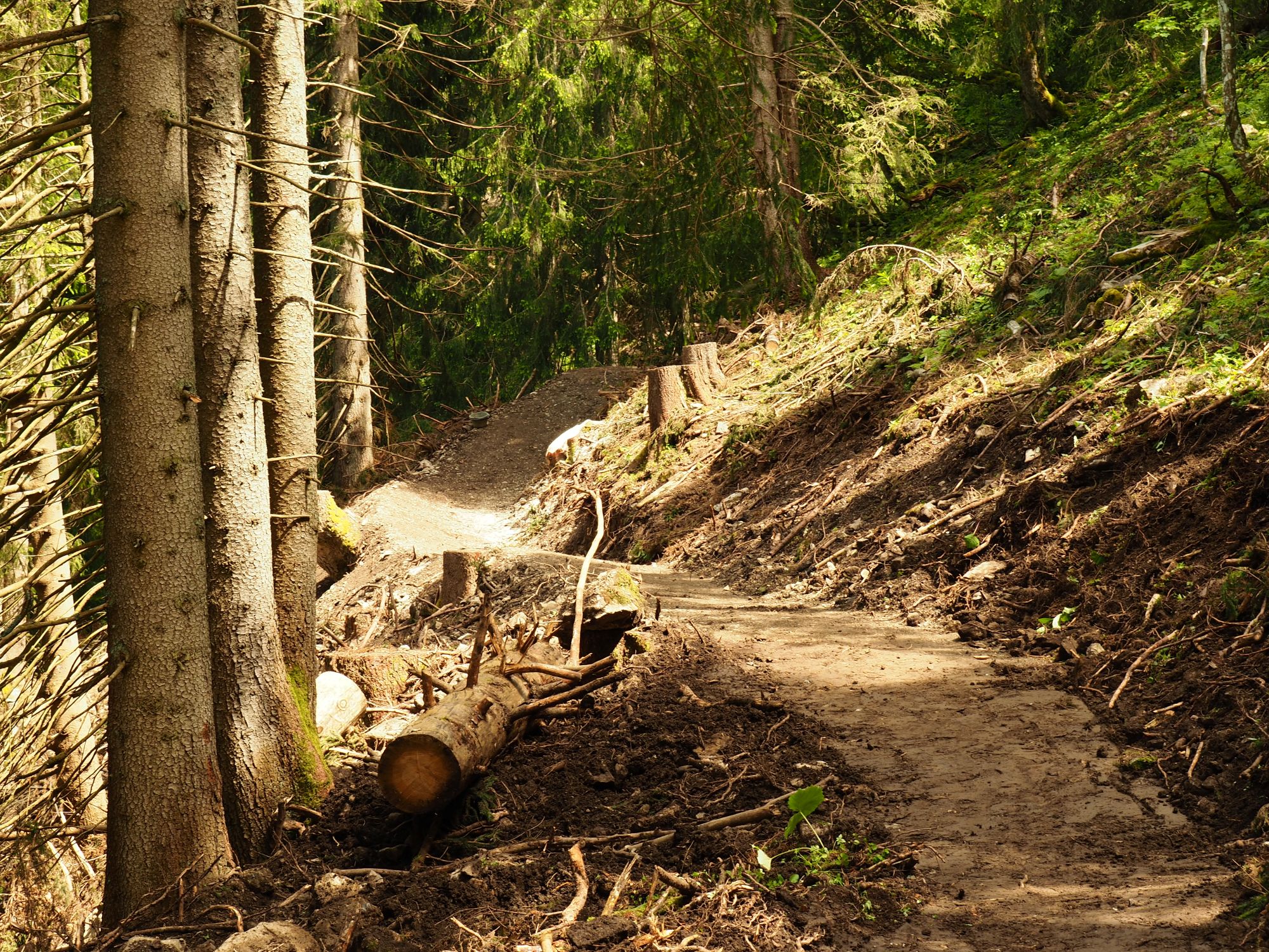 Flow trail under construction