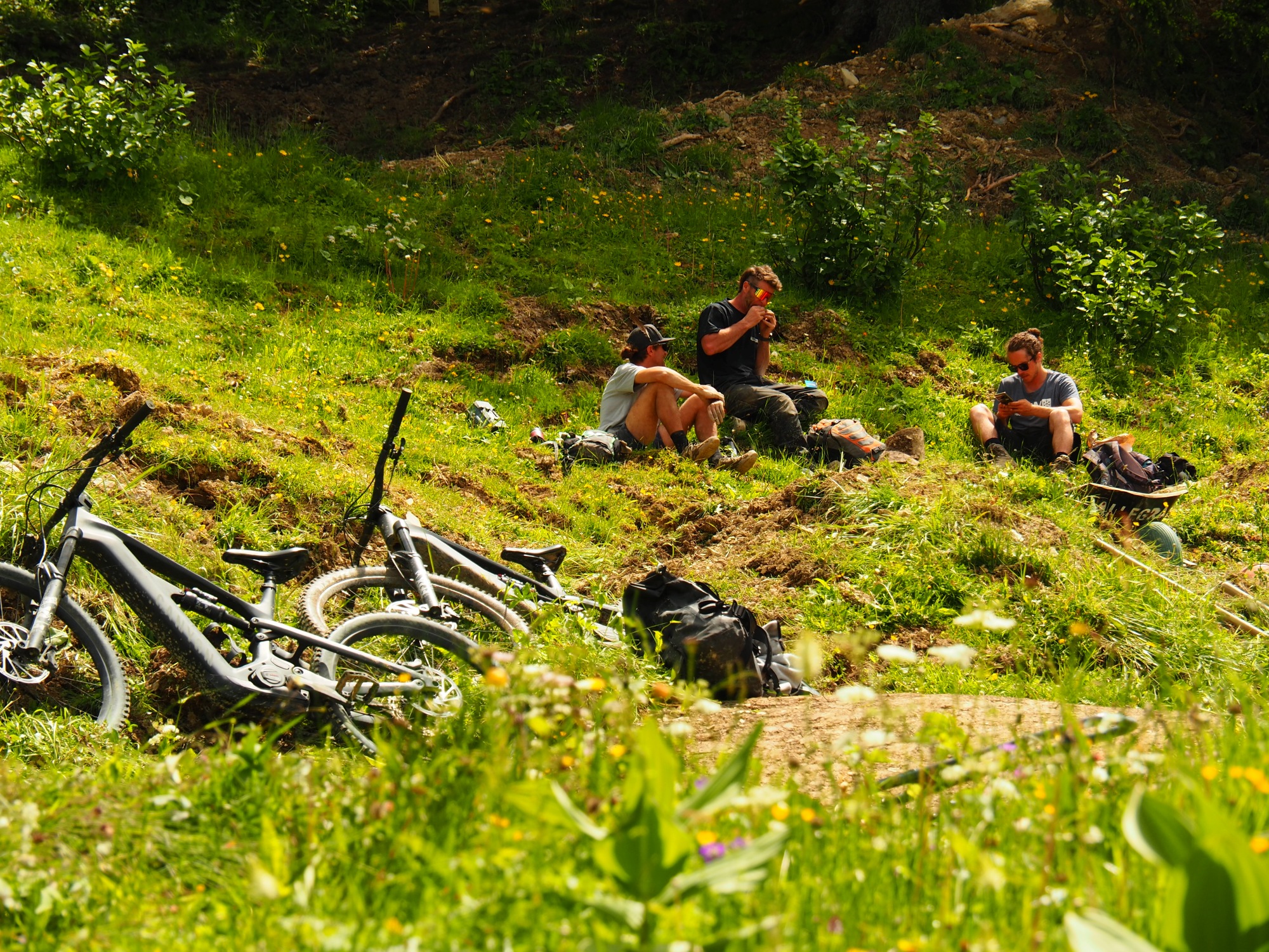 Moleson Flow Trails