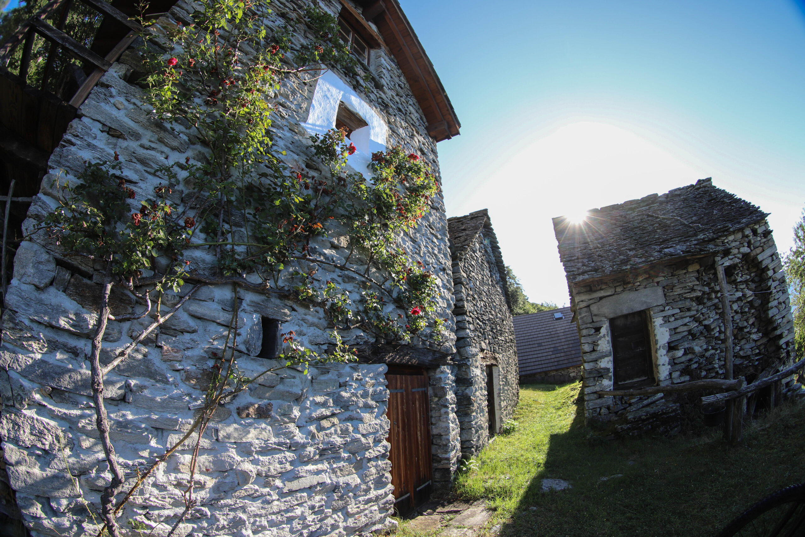 Planning & construction: Red shared trail „MONTI MOTTI“ in Ascona ...